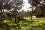 Adelaide west parklands