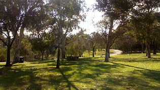 Adelaide west parklands