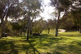 Adelaide west parklands