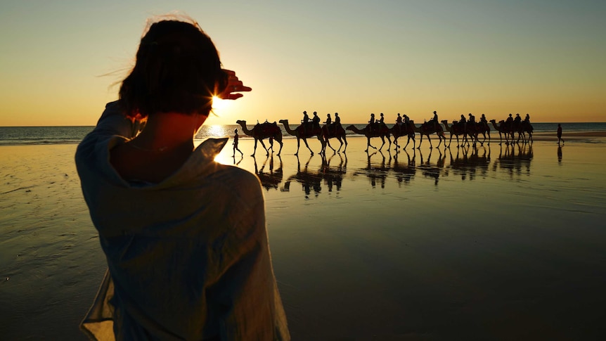 Camel train at Broome's Cable Beach