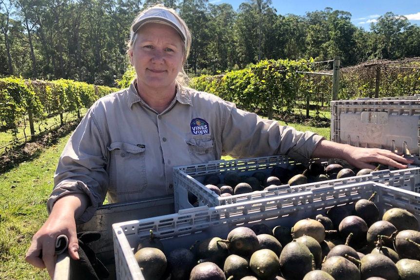 Jane standing behind trays of passionfruit on a ute, with the vines behind her.