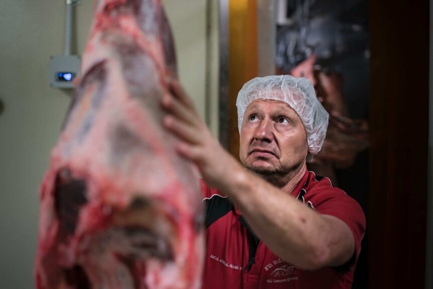 Man working in a cold room full of cuts of beef and buffalo.
