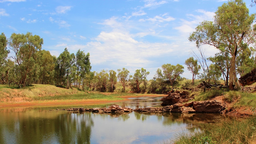 Red Centre carbon farming venture hits snag