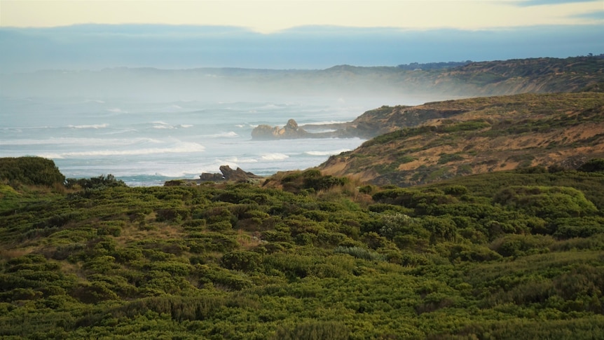 A beautiful rocky coastline with no houses or development just shrubs and small bays