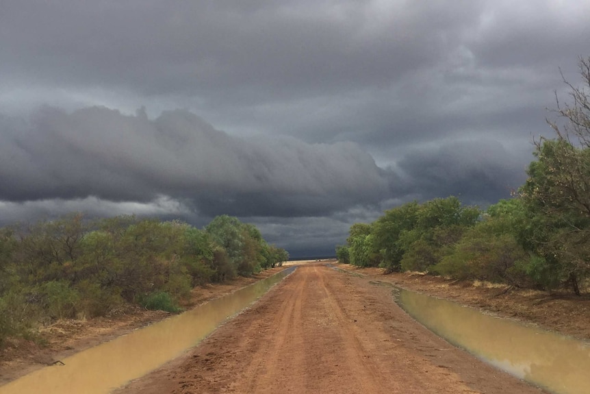 a dirt road with trees in either side with storm clouds in the distance.
