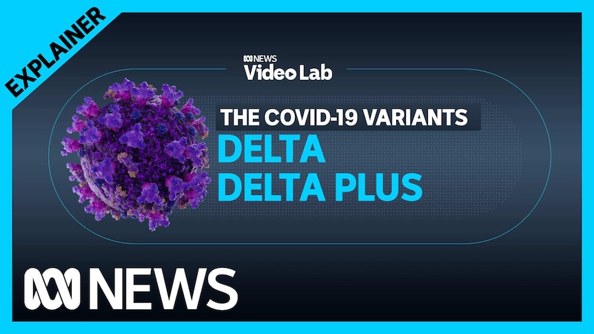 The Delta Covid 19 Variant Is More Infectious But There S Promising Data On Vaccines And Deadliness Abc News