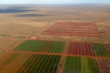 An aerial view of Desert Springs farm, 350 kilometres north of Alice Springs.