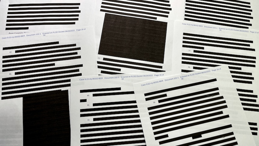 Pages of redacted text spread out.
