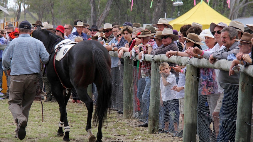 Spectators watch horses being paraded around the mounting yard at the Burrandowan Picnic Races.