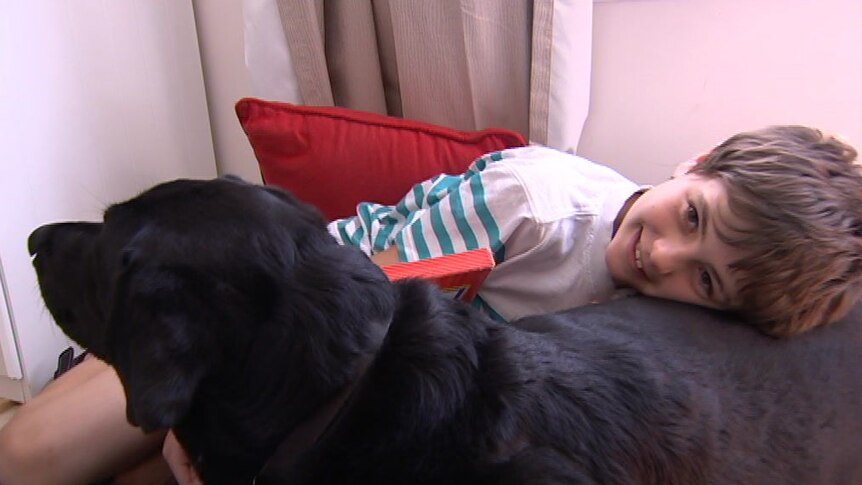 A young boy smiles with his head resting on the back of a black Labrador.