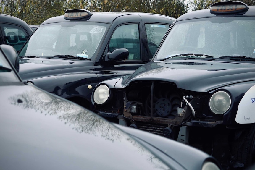 Two London black cabs sit in afield.