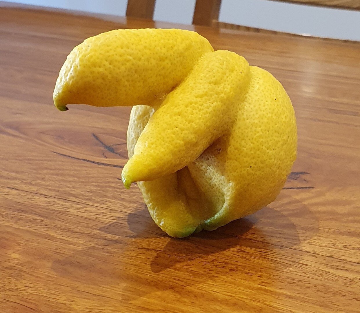 Company Activity Update Image