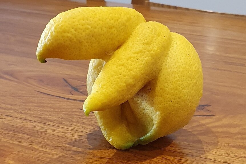 Lemonm