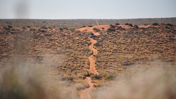 Simpson Desert track