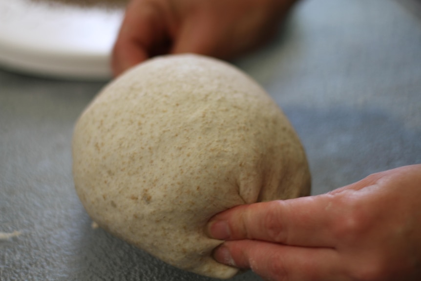 A close up shot of raw bread dough being shaped by bare hands