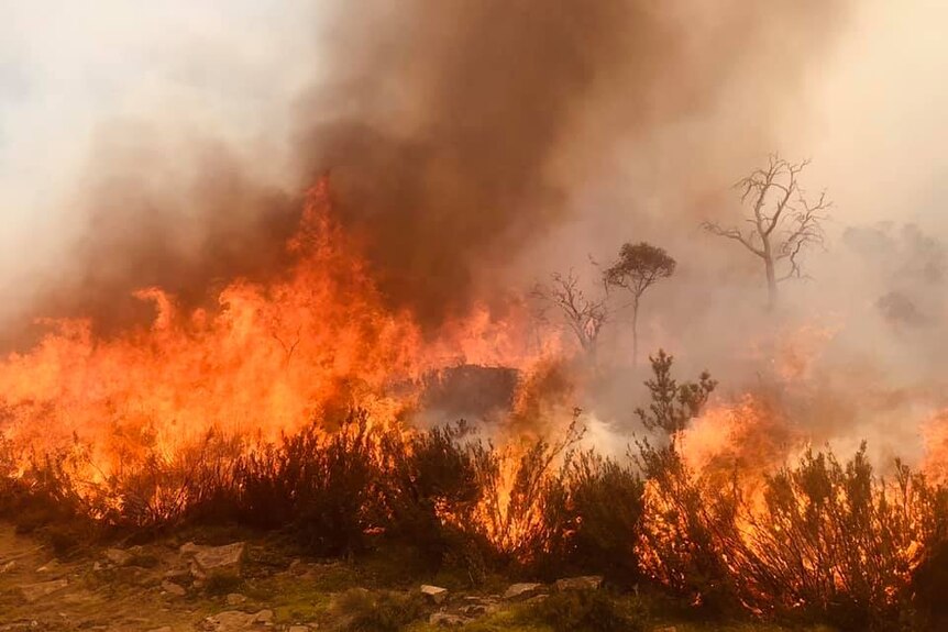 Smoke and flames at a Tasmanian bushfire.