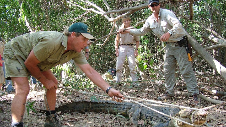 Steve Irwin, Terri Irwin, and Briano Coulter catch a crocodile