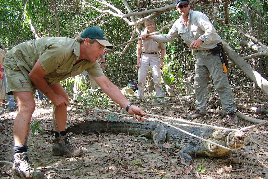 Steve Irwin, Terri Irwin, and Briano Coulter catch a crocodile