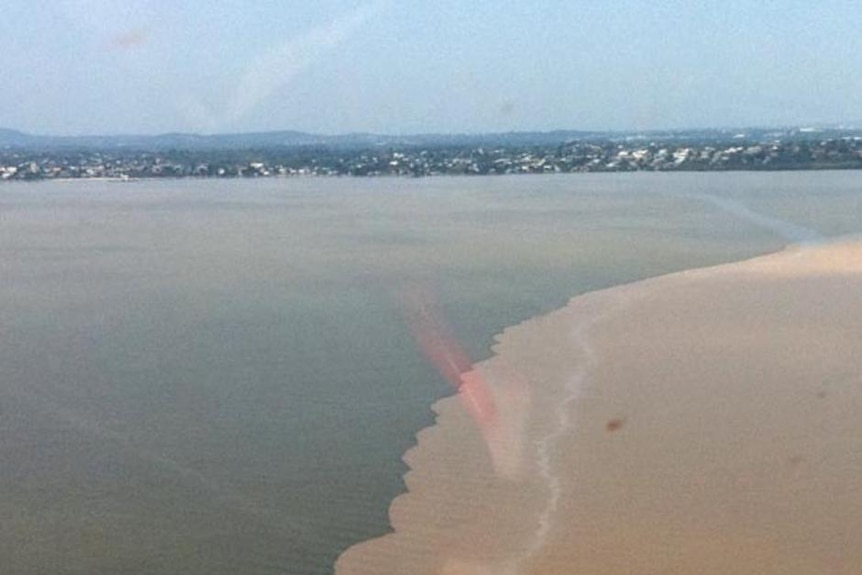 Scientists have now begun an assessment of the damage in Moreton Bay after the floods.