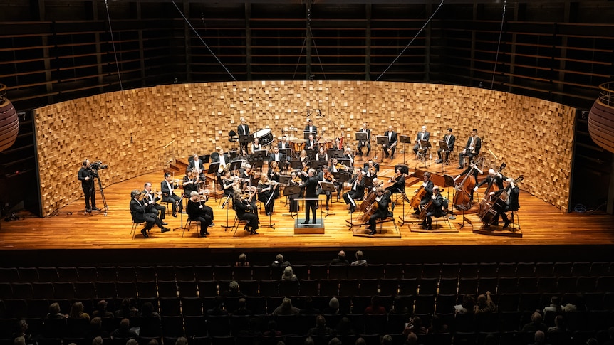 An orchestra on stage with a wooden background. they are dressed in black suits with white shirts.