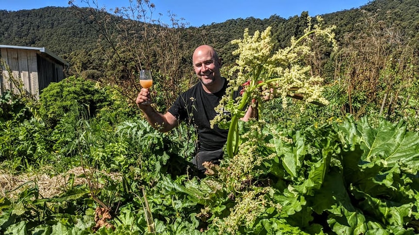 A man in a green vegetable garden holding up a glass of light red cordial