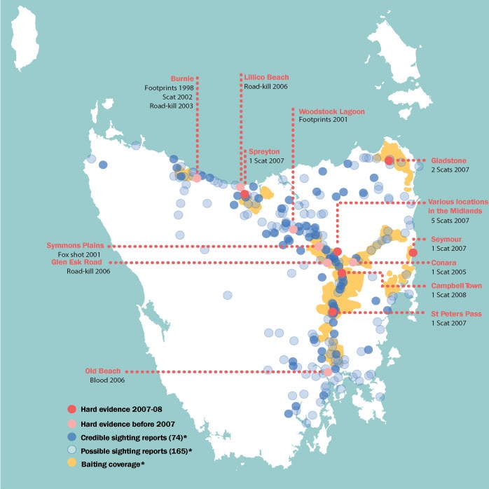 Fox sightings in Tasmania 2008