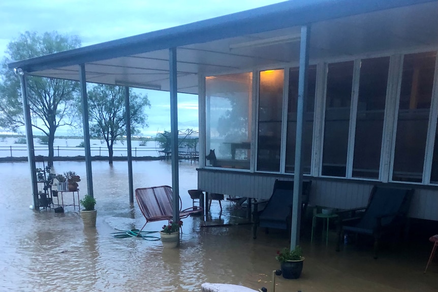 Water fills the yard and is flowing under the house at 'Audreystone' station, near Barcaldine.