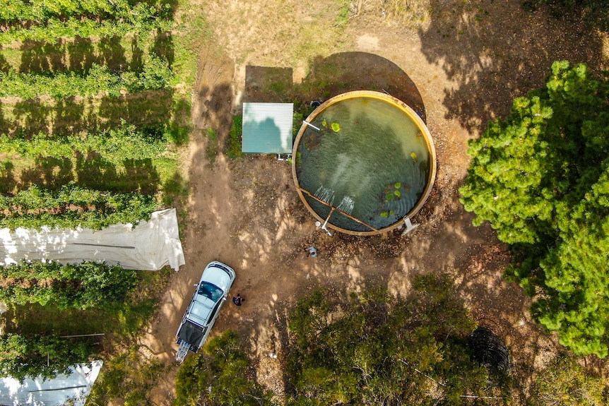 Aerial photo of a man walking towards a large water tank surrounded by lush trees.
