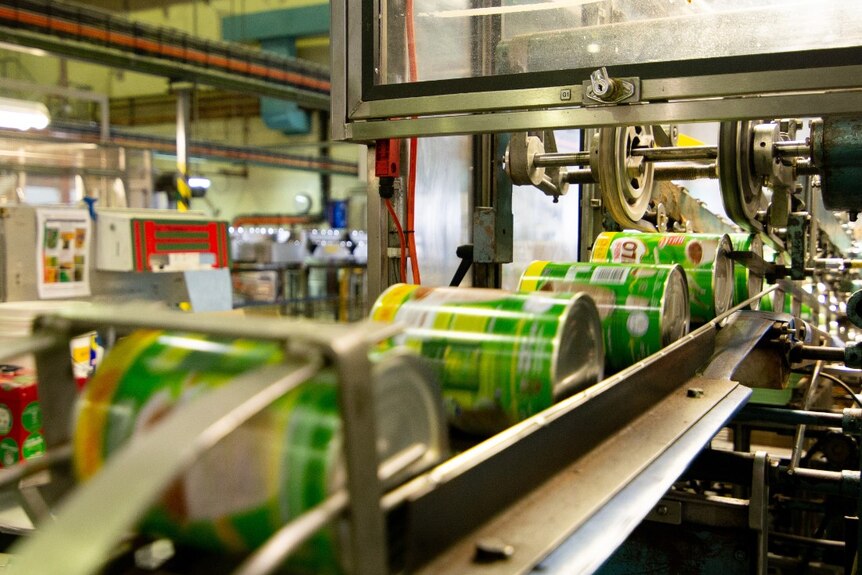 Labelled Milo tins on a conveyor belt in a factory
