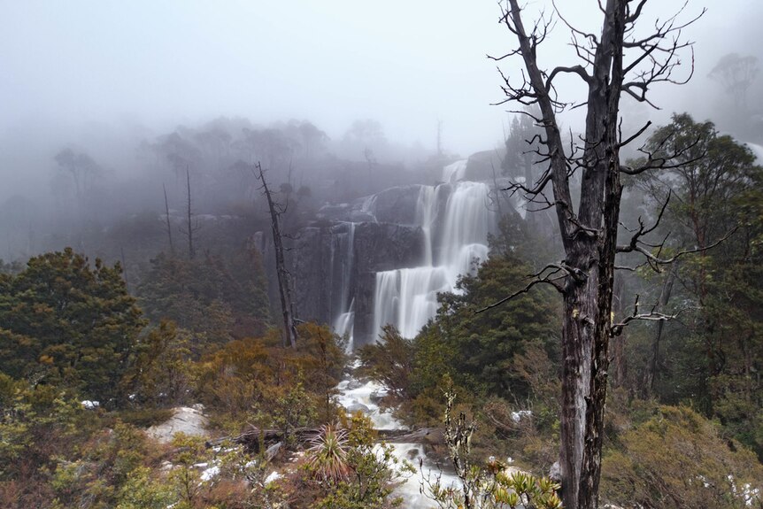 Water cascading over a rock cliff in green bushland with snow on the ground and mist in the air