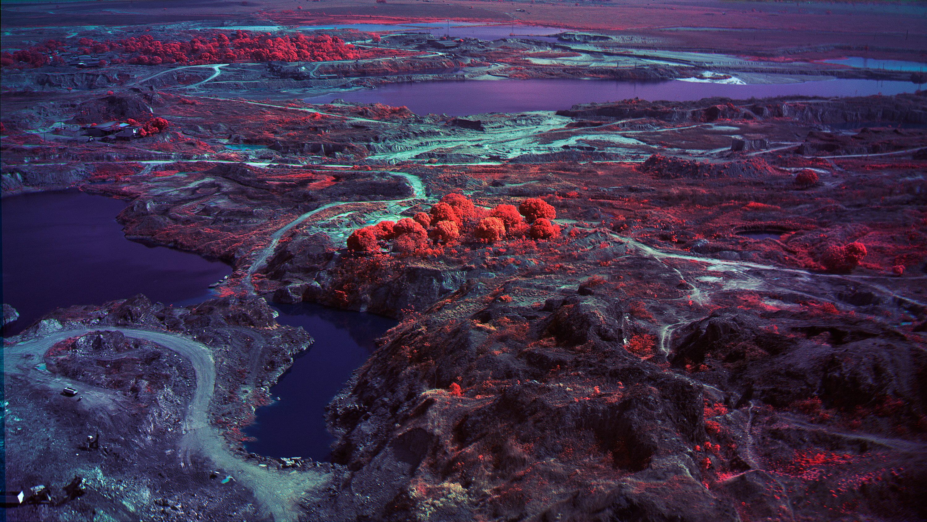 A still from a video artwork showing a landscape with purple lakes, large tracts of cleared land, and small clumps of red trees.