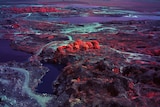 A still from a video artwork showing a landscape with purple lakes, large tracts of cleared land, and small clumps of red trees.
