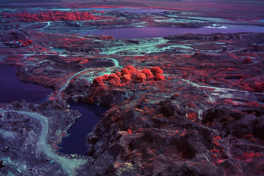 A still from a video artwork showing a landscape with purple lakes, large tracts of cleared land, and small clumps of red trees.