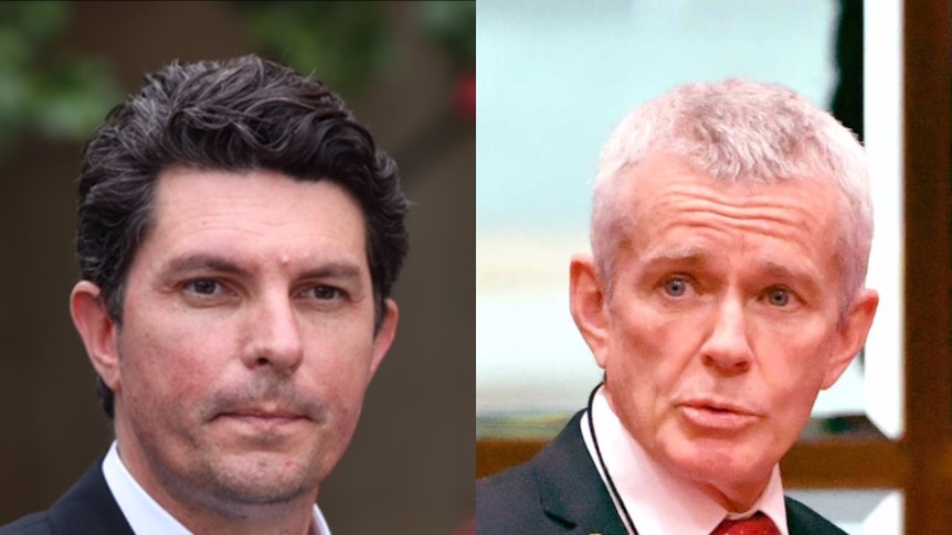 Composite of Scott Ludlam and Malcolm Roberts.