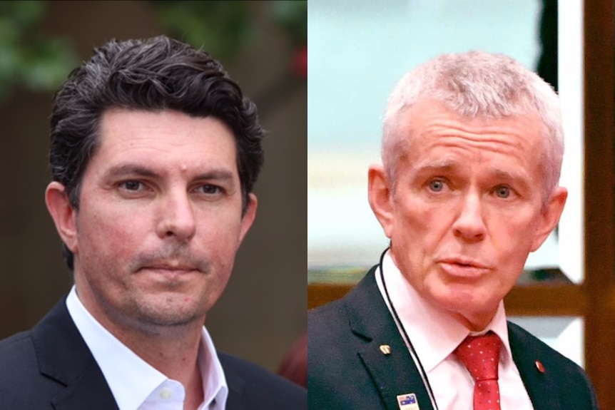 Composite of Scott Ludlam and Malcolm Roberts.