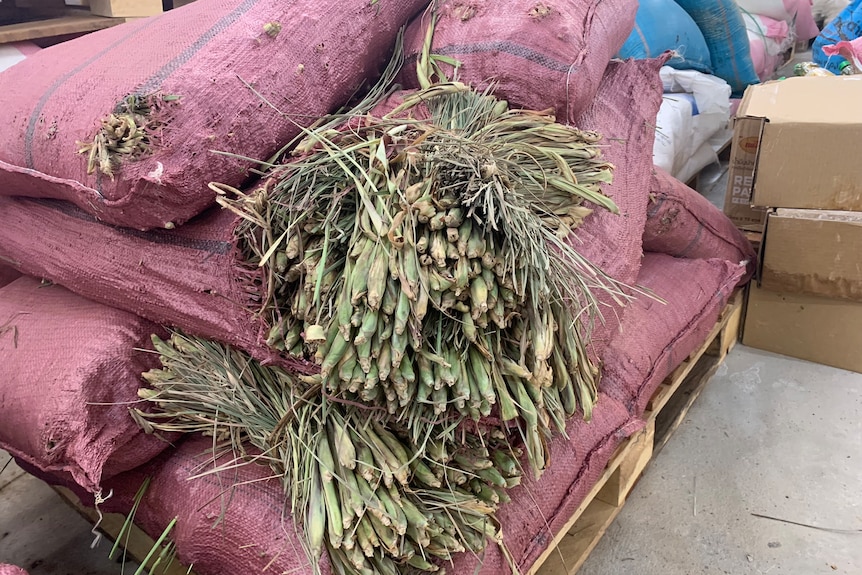 Photo of lemongrass in red bags.