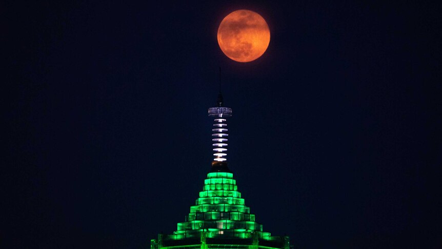 Bright orange full moon in sky about a high-rise tower lit green