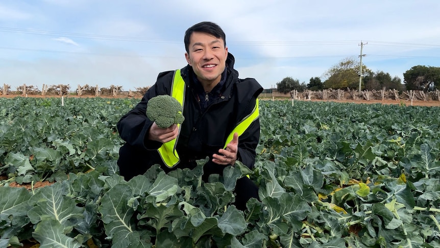 Thanh squats in a field of broccoli, wearing a high-vis vest and holding up a single floret as he speaks to the camera.
