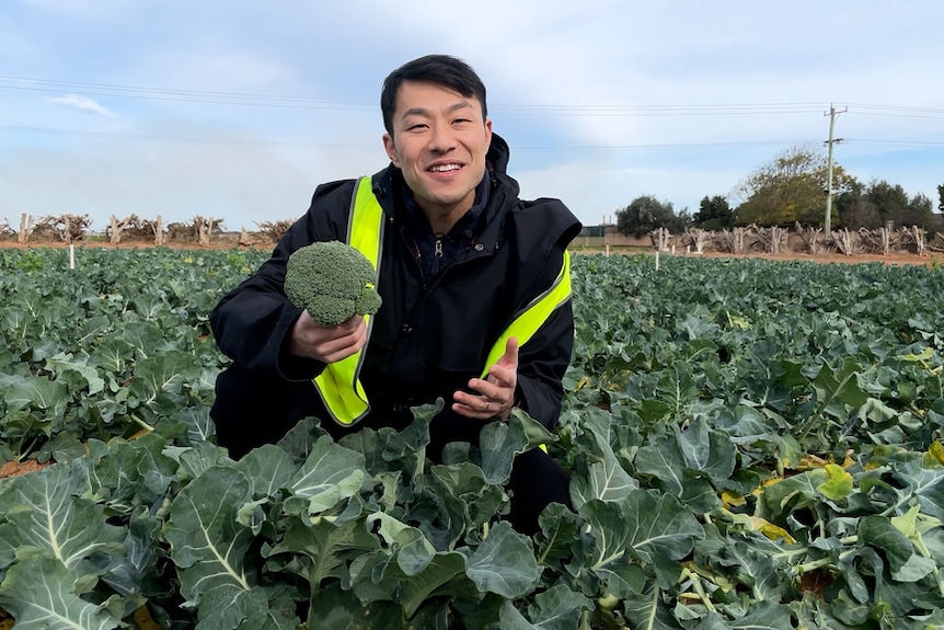 Thanh squats in a field of broccoli, wearing a high-vis vest and holding up a single floret as he speaks to the camera.