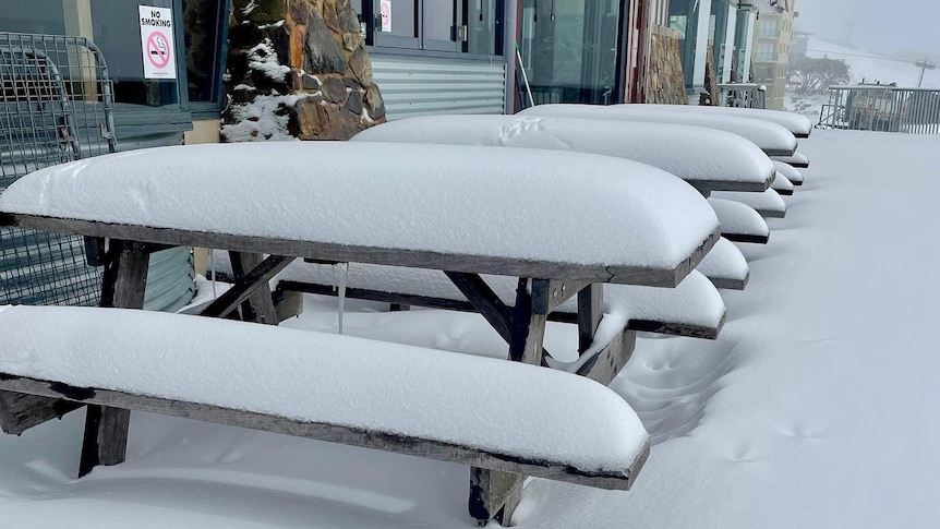 seats covered with snow