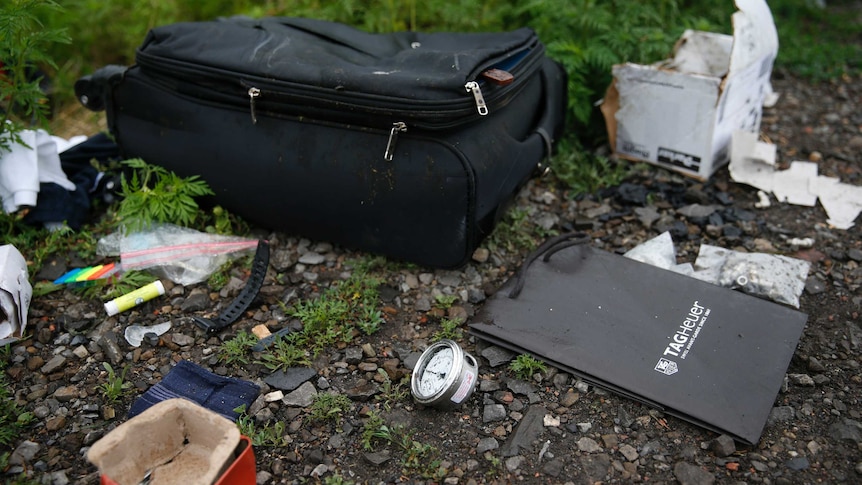 Luggage and personal items at MH17 crash site
