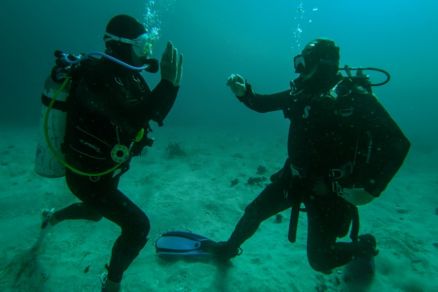 Two underwater scuba divers