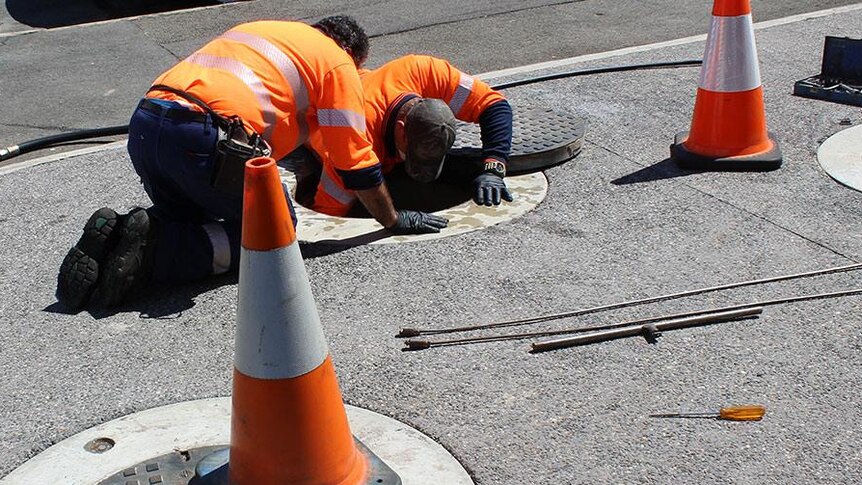 TasWater workers looking into a drain.