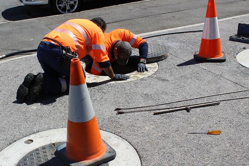 TasWater workers looking into a drain.