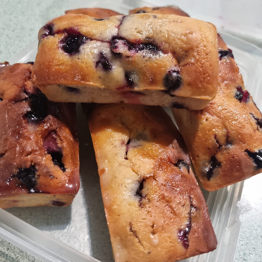 Blueberry muffins, in a bite-sized rectangle.