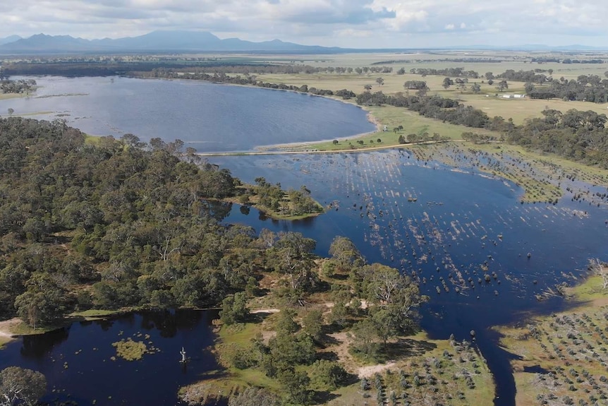 An aerial view of a large inland body of water surrounded by trees and grassed land, with a mountain range in the background.