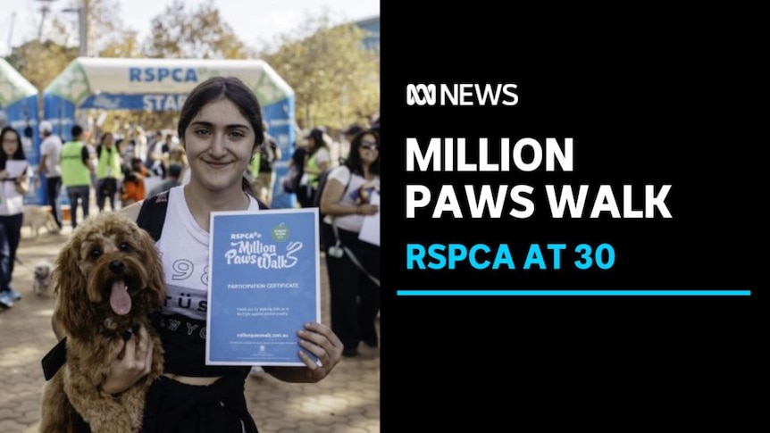 Million Paws Walk, RSPCA At 30: A woman and dog hold up a partiipation certificate. 