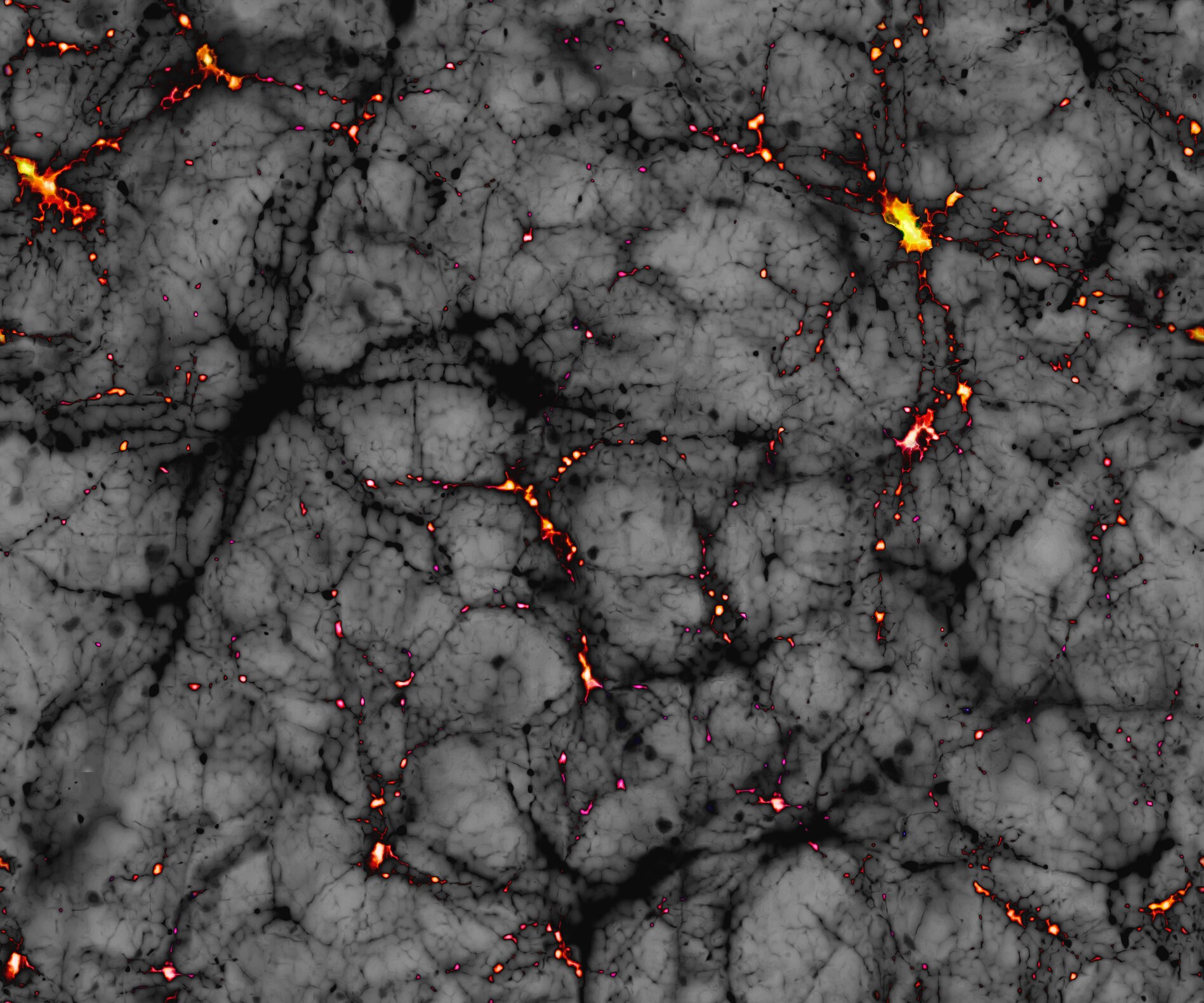Dark Matter search at UCL