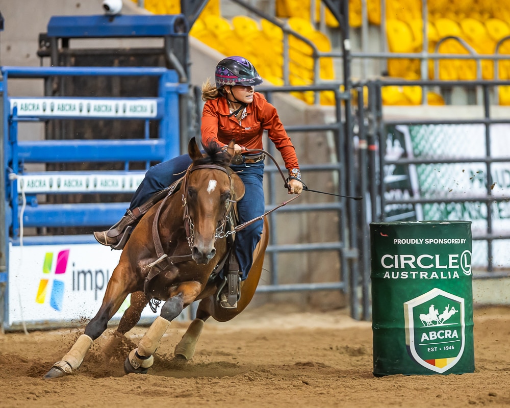 A girl rides a horse around a barrel.