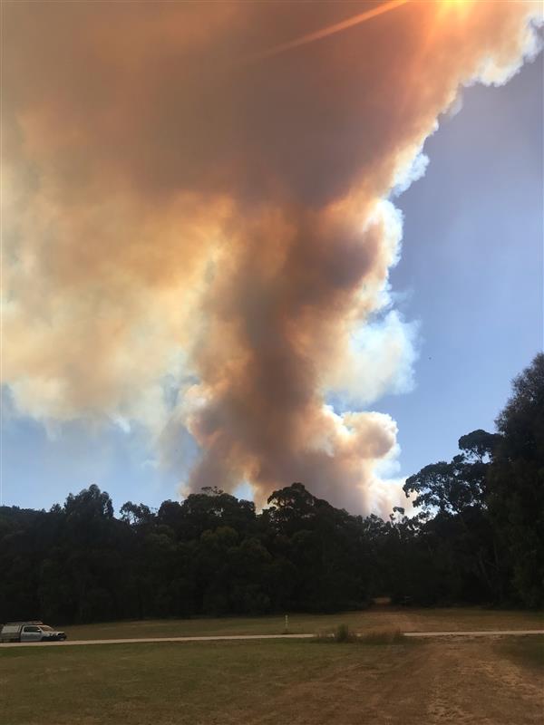 bcf565f07cebca562c9e453757fb2b3c?impolicy=wcms_crop_resize&cropH=400&cropW=600&xPos=0&yPos=353&width=862&height=575